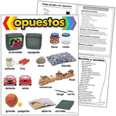 Lamina Aprendizaje  Opuestos (Español)